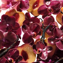 Flowerbomb Ruby Orchid – Parfémová voda v cestovním balení