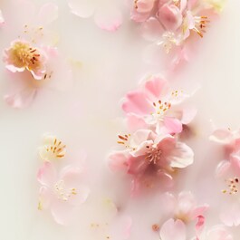 The Ritual of Sakura Mini Fragrance Sticks - Mini vonné tyčinky