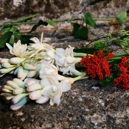 Gucci Bloom - Parfémová voda