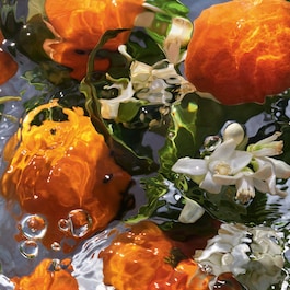 Aqua Allegoria Mandarine Basilic - Krém na ruce