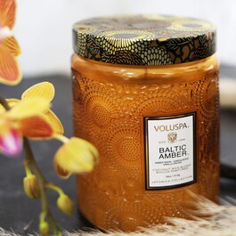 Japonica Baltic Amber Large Jar Candle - Svíčka