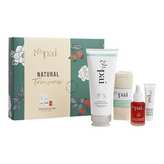 Natural Treasures - Sada péče o pleť, PAI