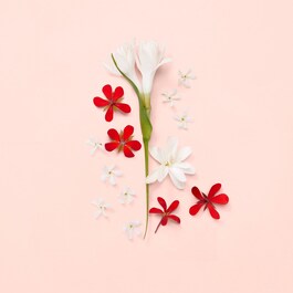 Gucci Bloom EDT - Toaletní voda