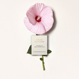 Chloé Atelier des Fleur Hibiscus - Eau de Parfum
