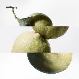 Eau De Basilic Pourpre - Kolínská voda