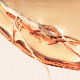BOSS Alive Eau De Parfum Intense - Parfémová voda