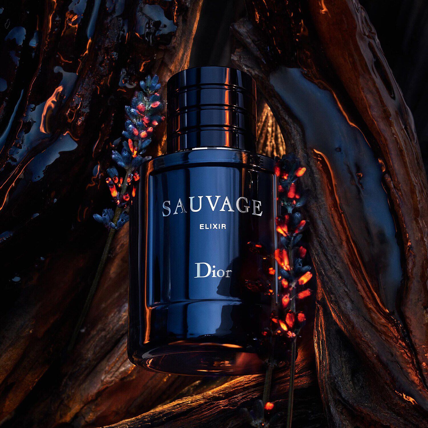 Dior sauvage cena discount sephora