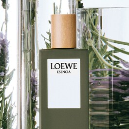 Loewe Esencia - Toaletní voda