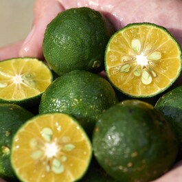 Shikulime Cleanser - Čistící gel
