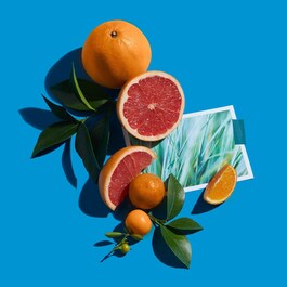 Pomélo Paradis Cologne Absolue - Čistý parfém