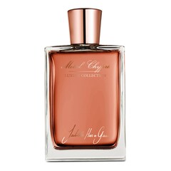 Metal Chypré Eau De Parfum - Parfémová voda, JULIETTE HAS A GUN