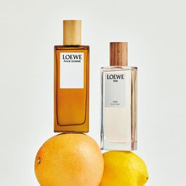 Loewe Pour Homme - Toaletní voda