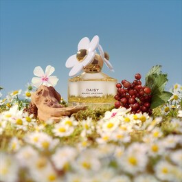Daisy - Toaletní voda