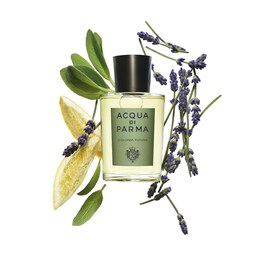 Colonia Futura - Eau de Cologne Fougère aromatický