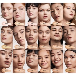Pro Filt'r Soft Matte Powder Foundation - Pudrový make-up