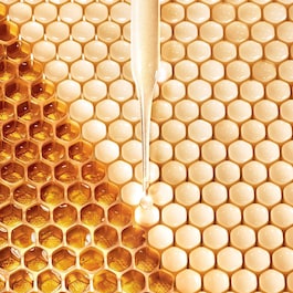 Abeille Royale Fortifying Lotion - Posilující tonikum s mateří kašičkou