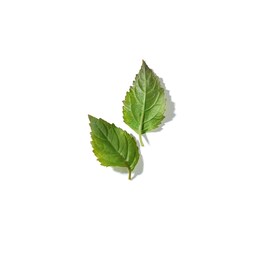 The product image is missing!
