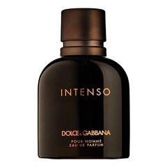 Pour Homme Intenso - Parfémová voda, DOLCE & GABBANA