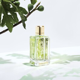 The product image is missing!