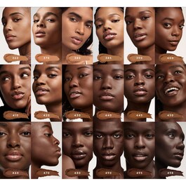 Pro Filt'r Soft Matte Powder Foundation - Pudrový make-up