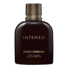 Pour Homme Intenso - Parfémová voda, DOLCE & GABBANA