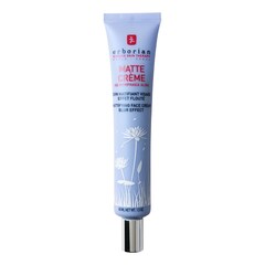 BB Family Matte Cream - Zmatňující krém, ERBORIAN