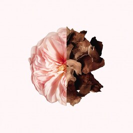 Irresistible Givenchy - Parfémová Voda