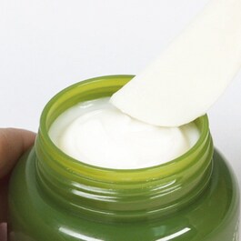 Intensive Hydrating Cream with Green Tea Seed - Krém na obličej