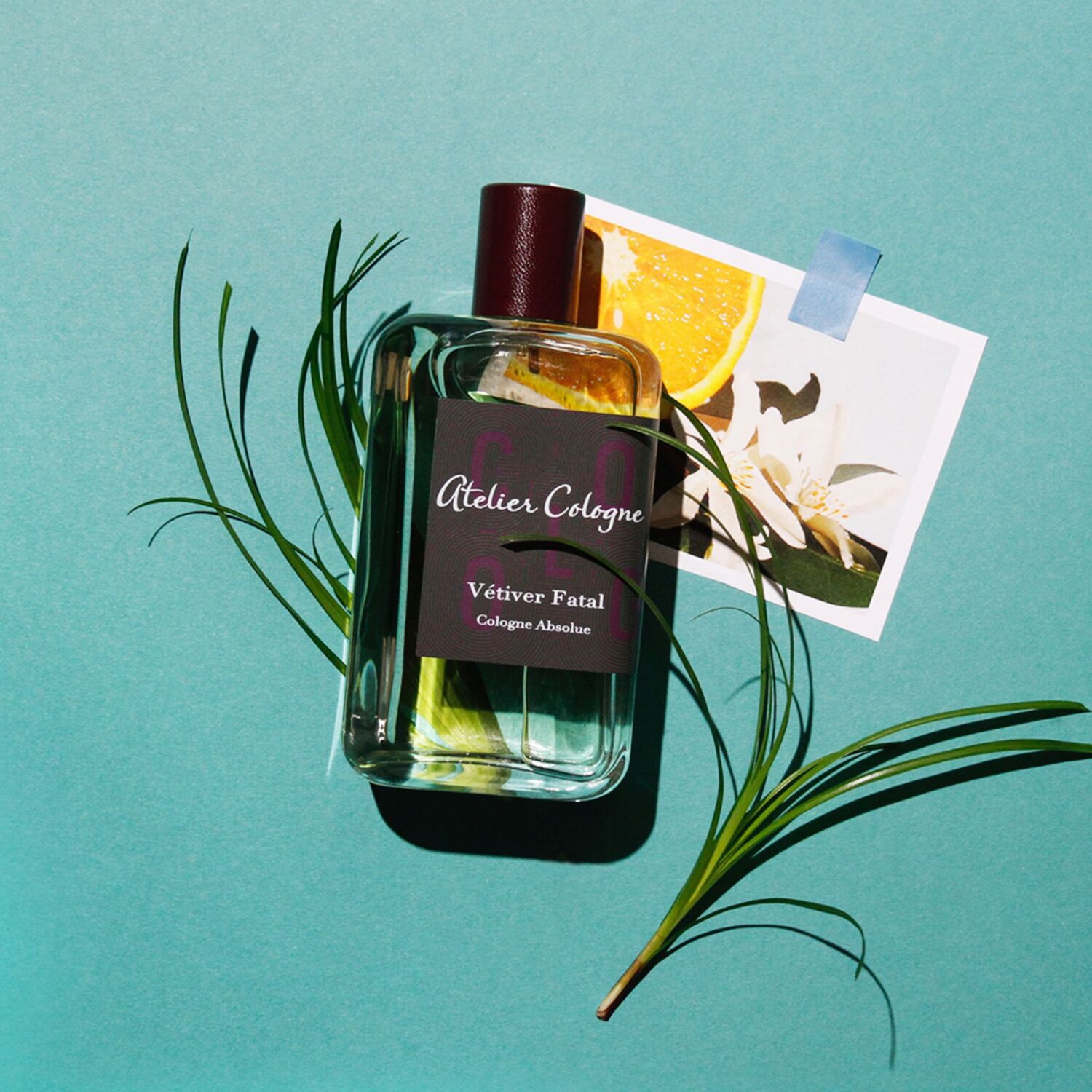 V tiver Fatal Cologne Absolue ist parf m z ATELIER COLOGNE