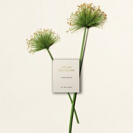 Chloé Atelier des Fleur Papyrus - Eau de Parfum
