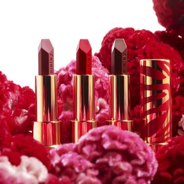 Phyto-Rouge Limited Edition - Rtěnka