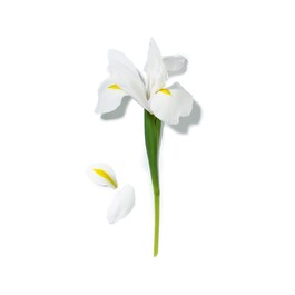 The product image is missing!