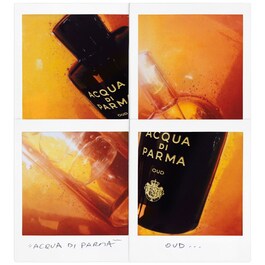 Signatures of the Sun Oud - Eau de Parfum Woody