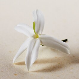 Chloé Atelier des Fleur Jasmin Sambac - Eau de Parfum