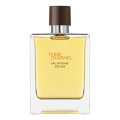 Terre d'Hermès Eau Intense Vétiver - Parfémová voda, HERMÈS