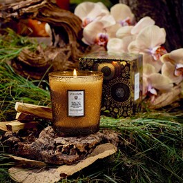 Japonica Baltic Amber Classic Candle - Svíčka
