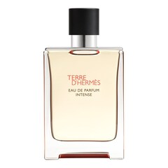 Terre d'Hermès Intense - Parfémová voda, HERMÈS