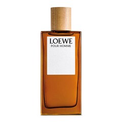 Loewe Pour Homme - Toaletní voda, LOEWE