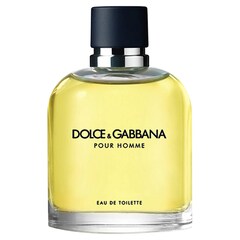 Pour Homme - Toaletní voda, DOLCE & GABBANA
