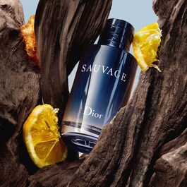 Sauvage – Toaletní voda pro muže – Kořeněné, dřevité a ambrové tóny