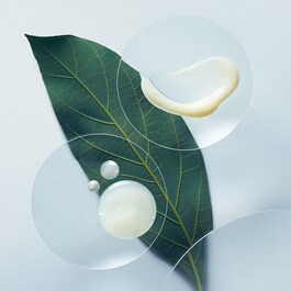 Botanical Repair Shampoo - Šampon