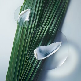 Botanical Repair Masque - Intenzivní regenerační maska