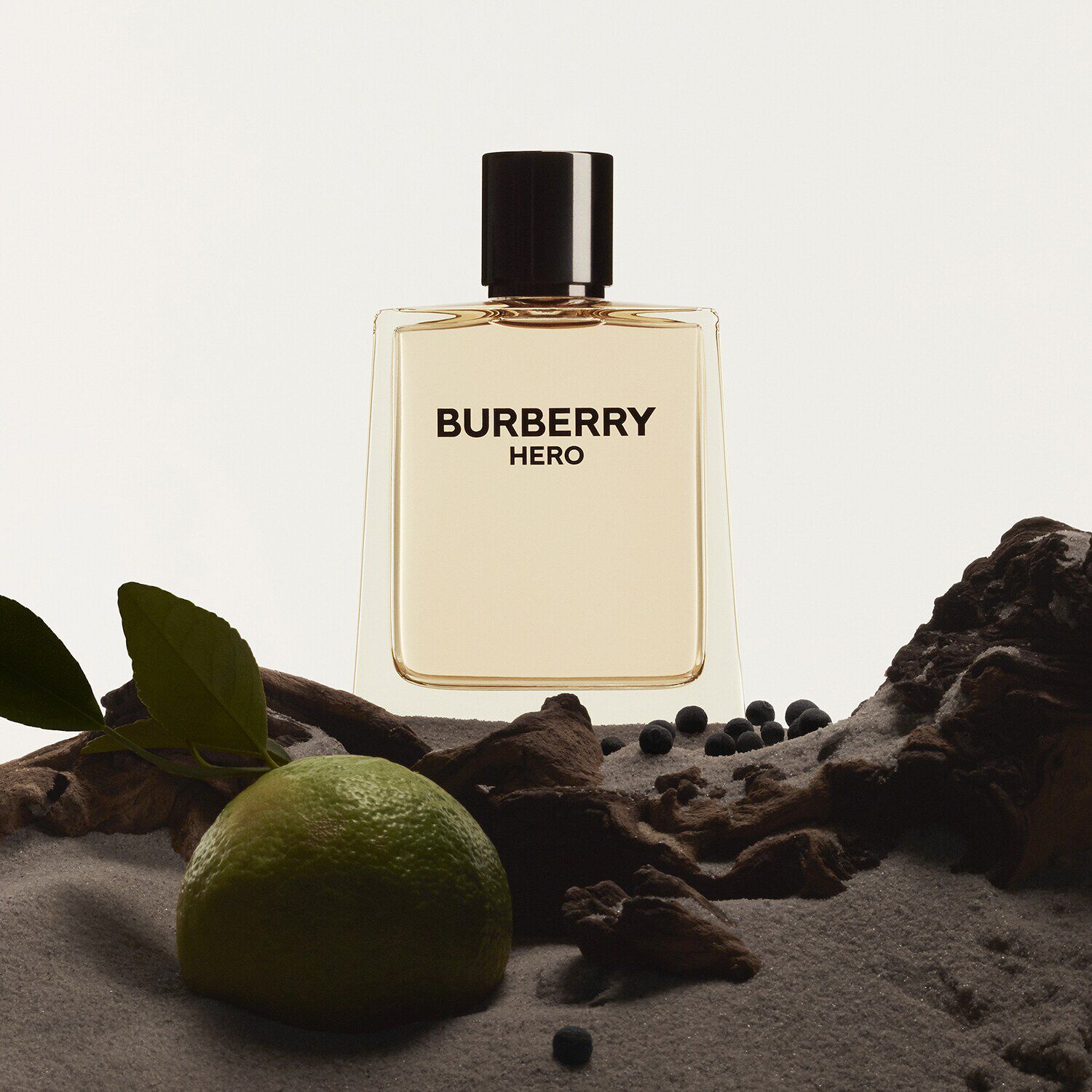 Burberry Hero Toaletni voda