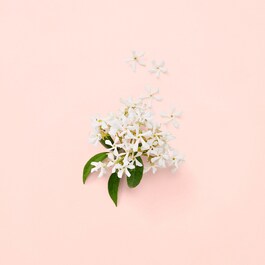 Gucci Bloom - Parfémová voda