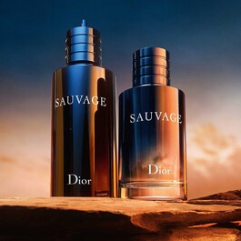Sauvage – Toaletní voda pro muže – Kořeněné, dřevité a ambrové tóny