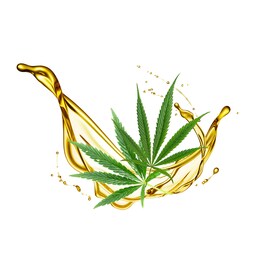 The product image is missing!
