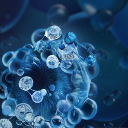 Biotherm Homme Force Supreme - Omlazující a regenerační  krém pro muže