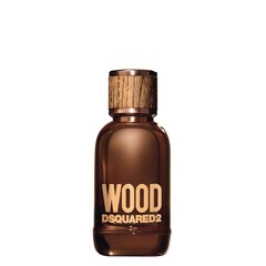 Wood Pour Homme - Toaletní voda, DSQUARED 2