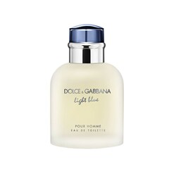 Light Blue Pour Homme - Toaletní voda, DOLCE & GABBANA