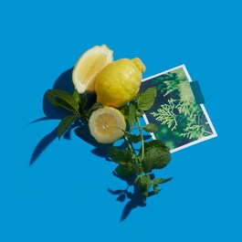 Cédrat Enivrant Cologne Absolue - Čistý parfém